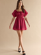 Francesca's Maryann Ruched Mini Dress (x2)