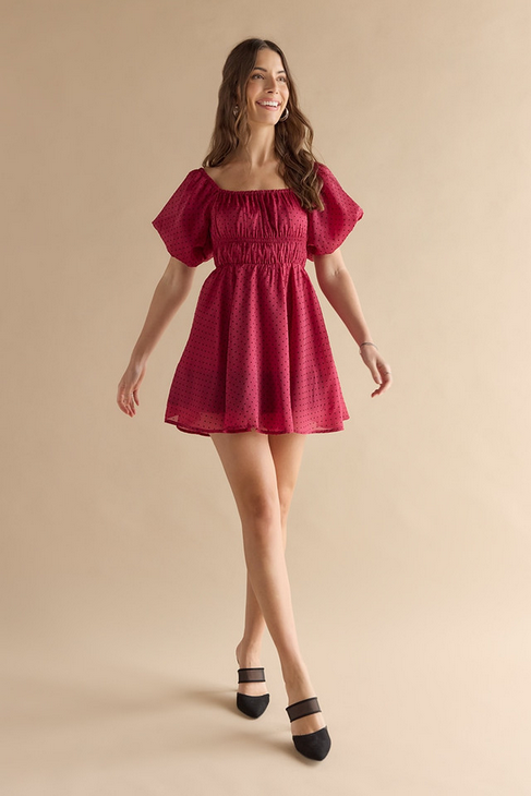 Francesca's Maryann Ruched Mini Dress (x2)