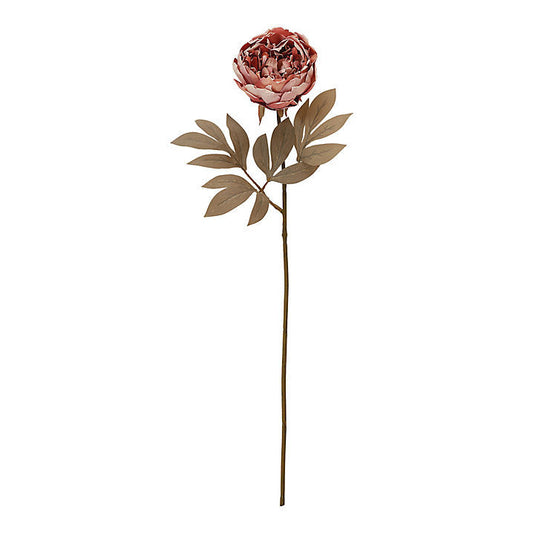 Ballard Designs Peony Stem