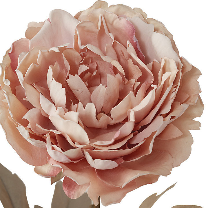 Ballard Designs Peony Stem