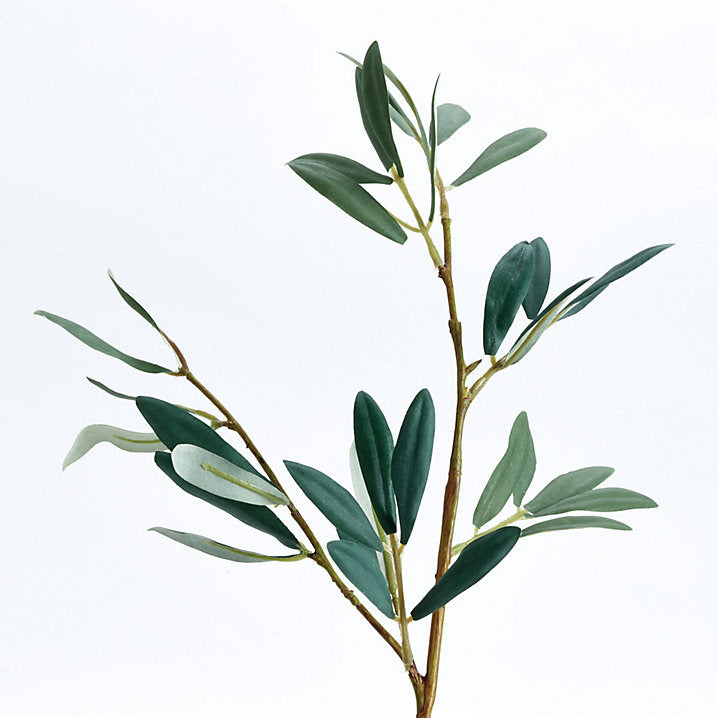 Ballard Designs Olive Leaf Stems - Set of 3