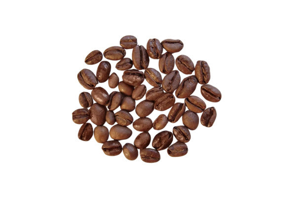 Nut.com Brazil Santos Especial Single Origin Whole Bean Coffee