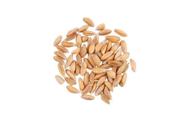 Nut.com Organic Farro