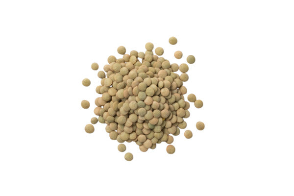 Nut.com Organic Dried Green Lentils