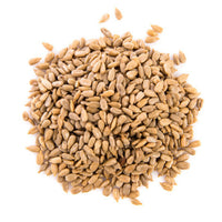 Nut.com Organic Dry Roasted Salted Sunflower Seeds No Shell