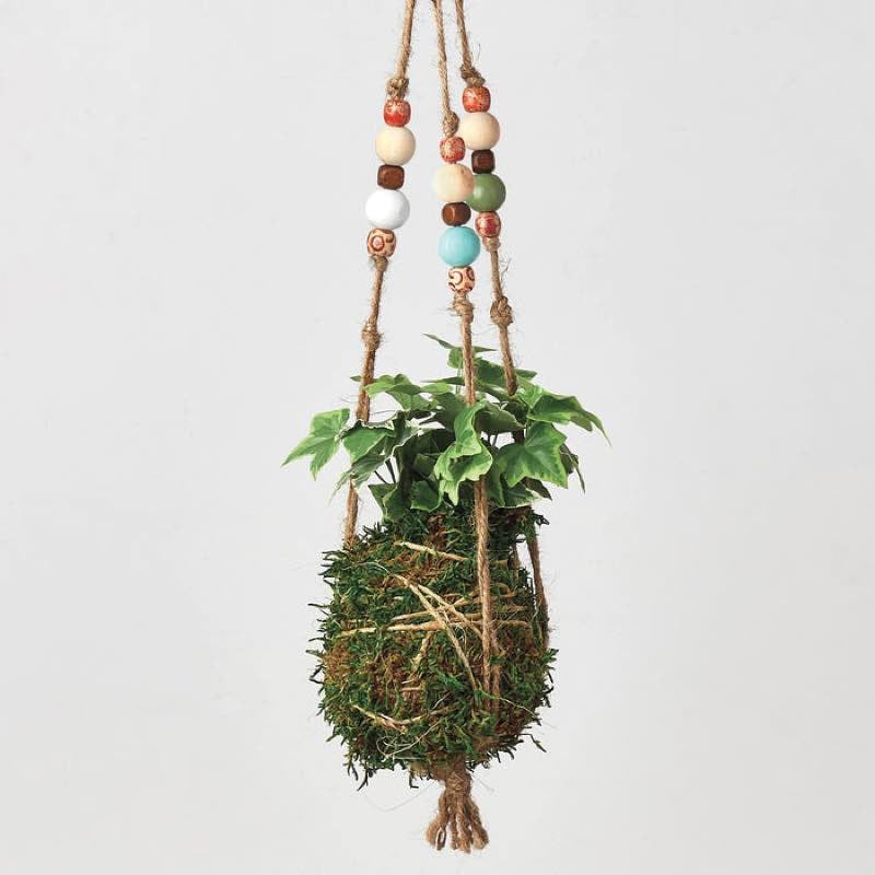 VivaTerra Kokedama Moss Ball Hanging Plant - Ivy Goldchild