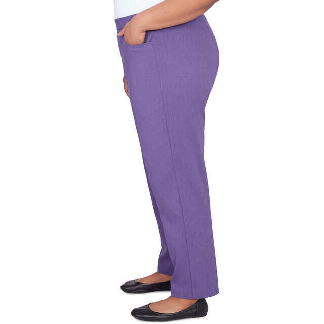 Alfred Dunner Women's Classic Charmed Average Length Pant - IRIS