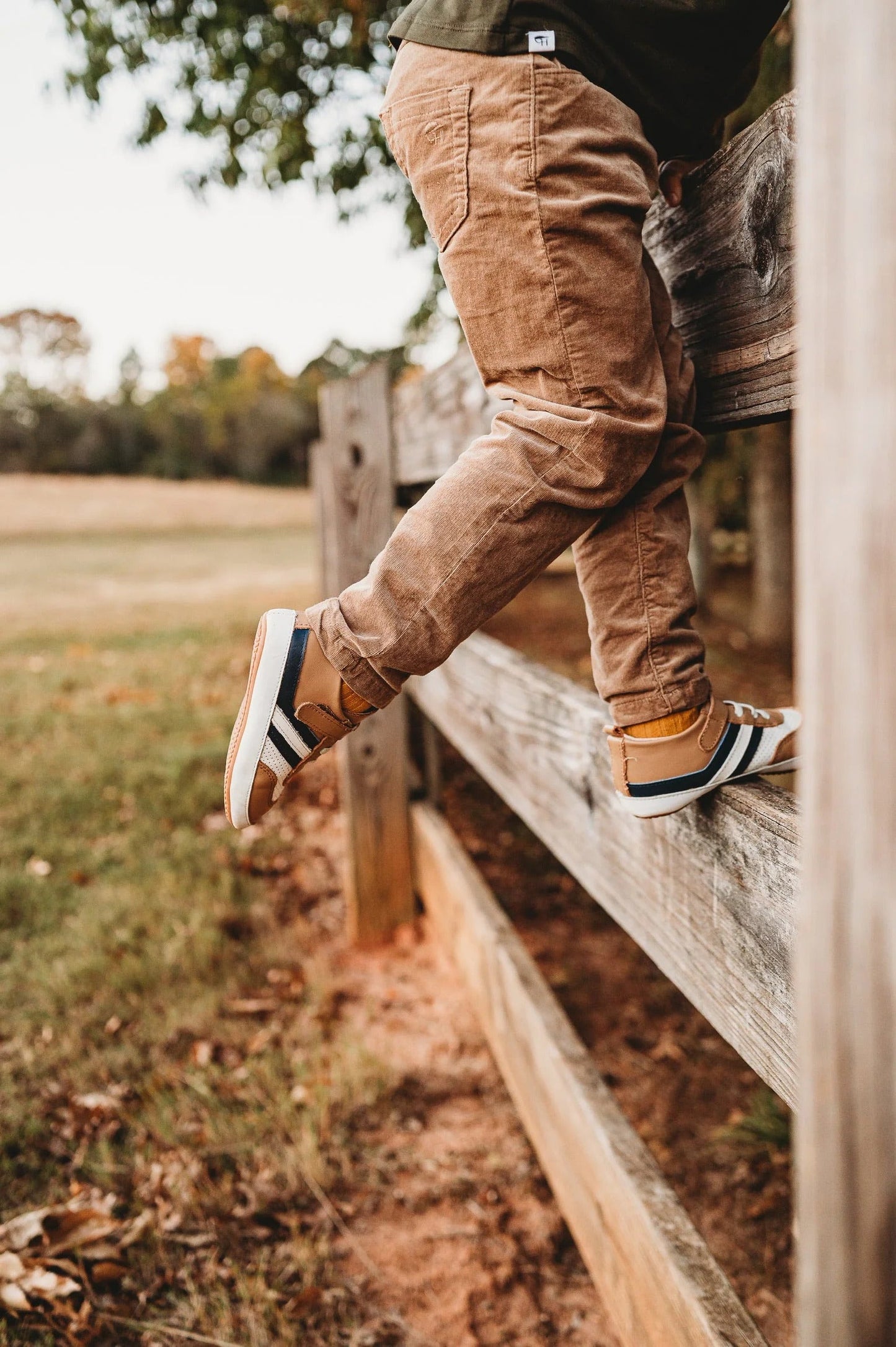 Little Love Bug Co. Brown and Navy Henry Low Top