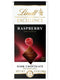 Lindt Chocolate Raspberry Dark Chocolate EXCELLENCE Bar (3.5 oz)