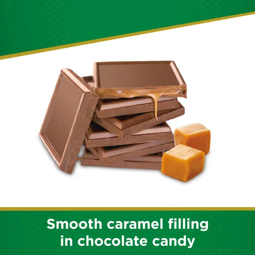 Russell Stover Chocolates Sugar Free Chocolate Candy Caramel Tile Candy Bar 3oz. case of 12