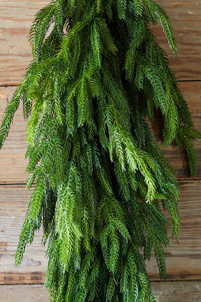 Decorator's Warehouse 36” Real Touch Norfolk Pine Teardrop