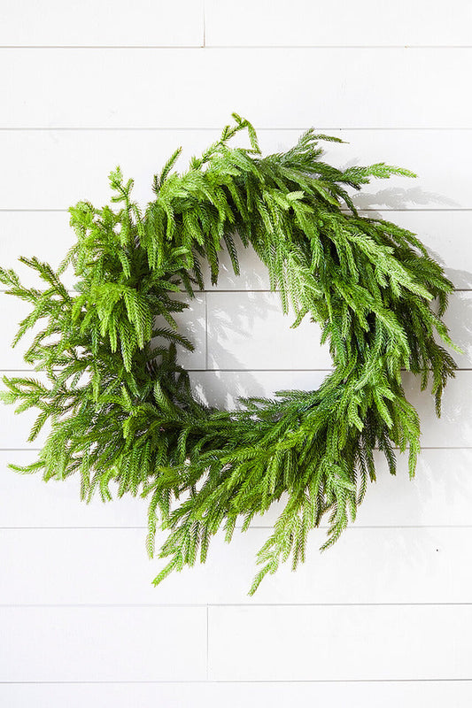 Decorator's Warehouse 24” Just Cut Norfolk Pine Wreath