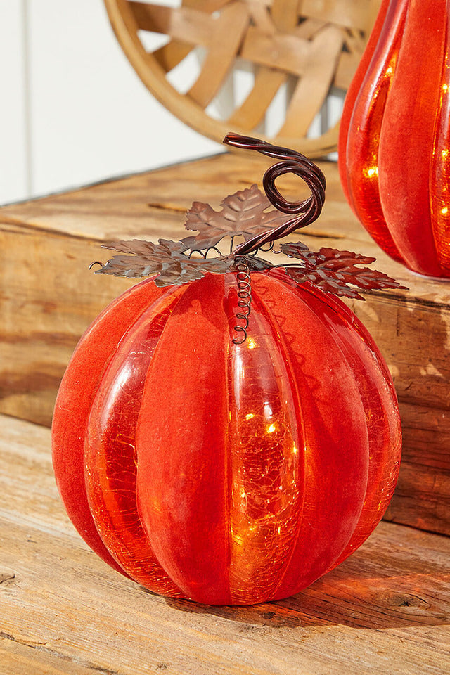 Decorator's Warehouse 12" Velvet & Glass Light Up Pumpkin - Orange