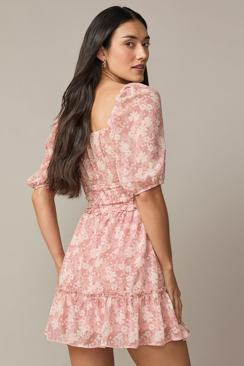 Francesca's Nina Floral Waisted Emma Mini Dress (x2)