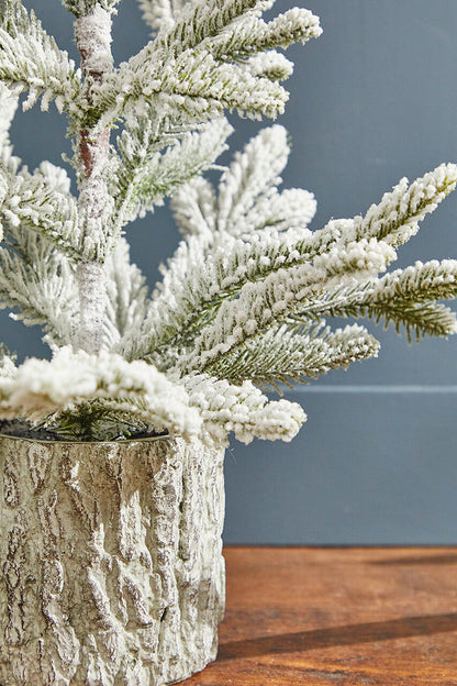 Decorator's Warehouse 18" Potted Noble Fir Tree with Snow