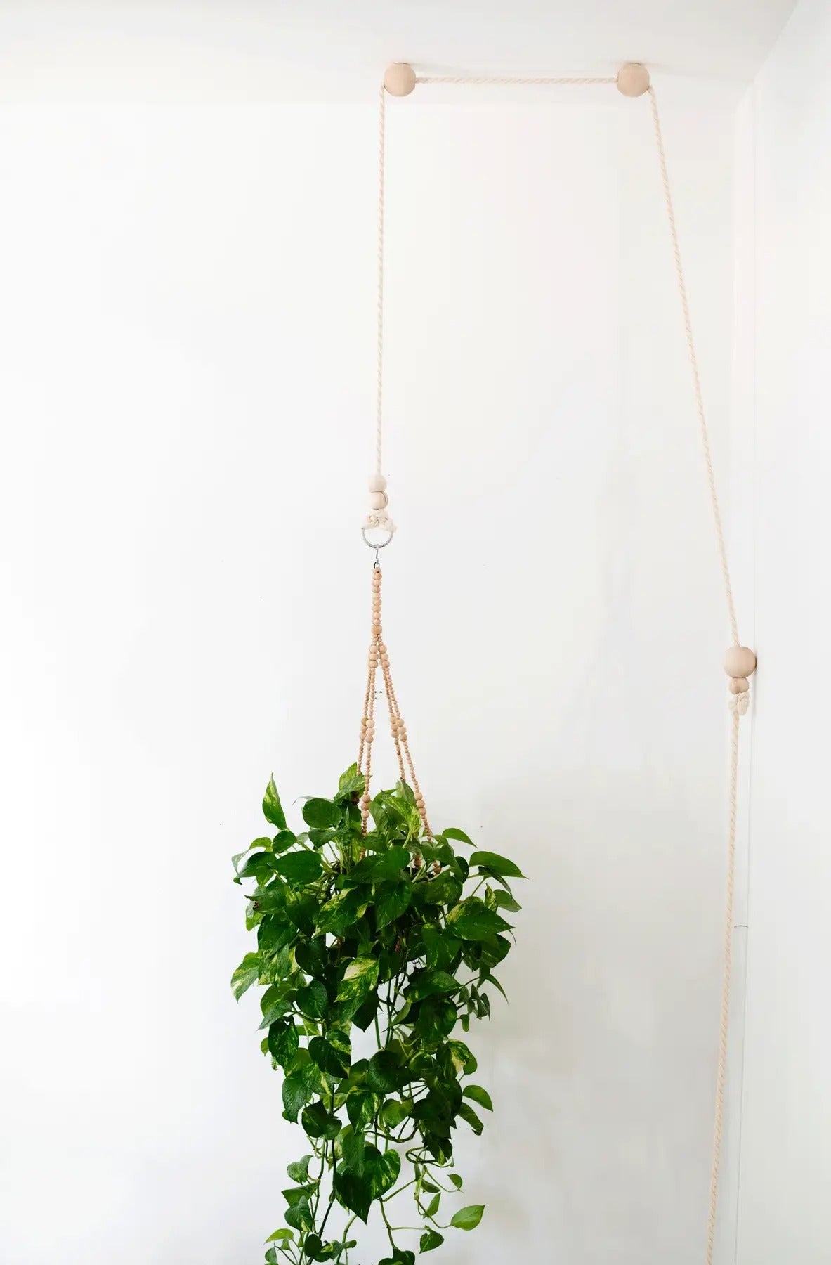 Happy Happy Houseplant Modern Plant Pulley