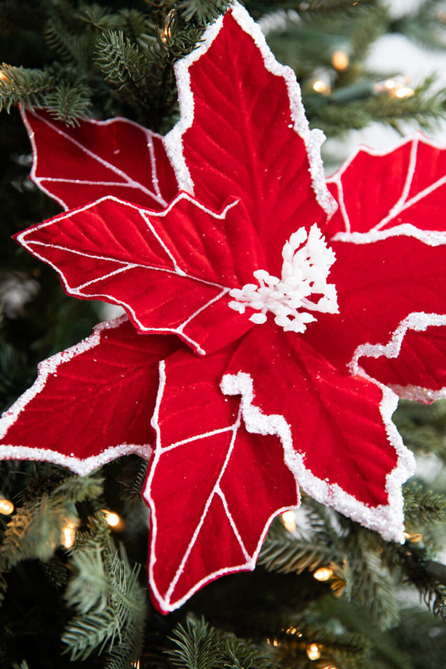 Decorator's Warehouse 22” x 13" Red/White Velvet Glitter Poinsettia