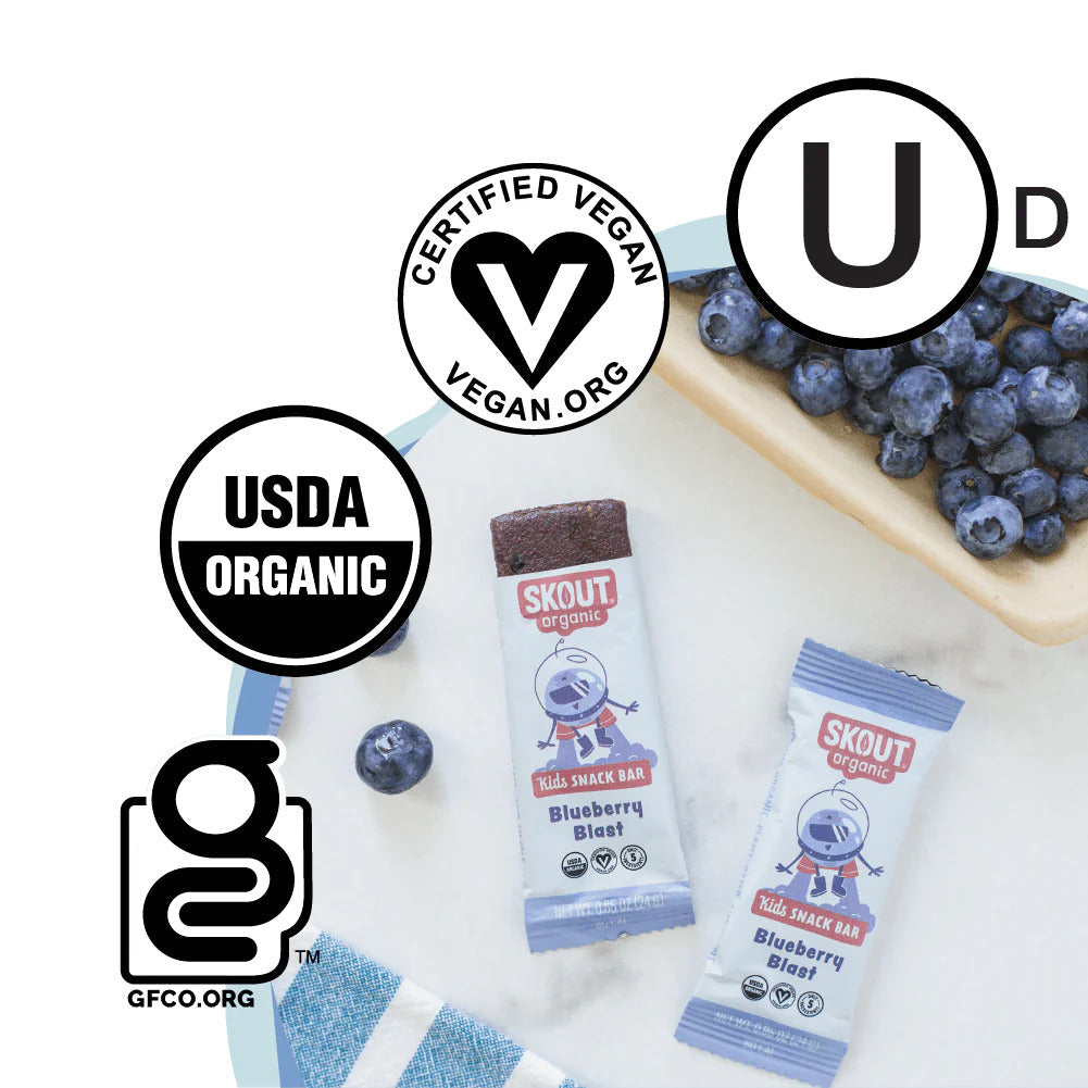 Skout Organic Blueberry Blast Kids Bar