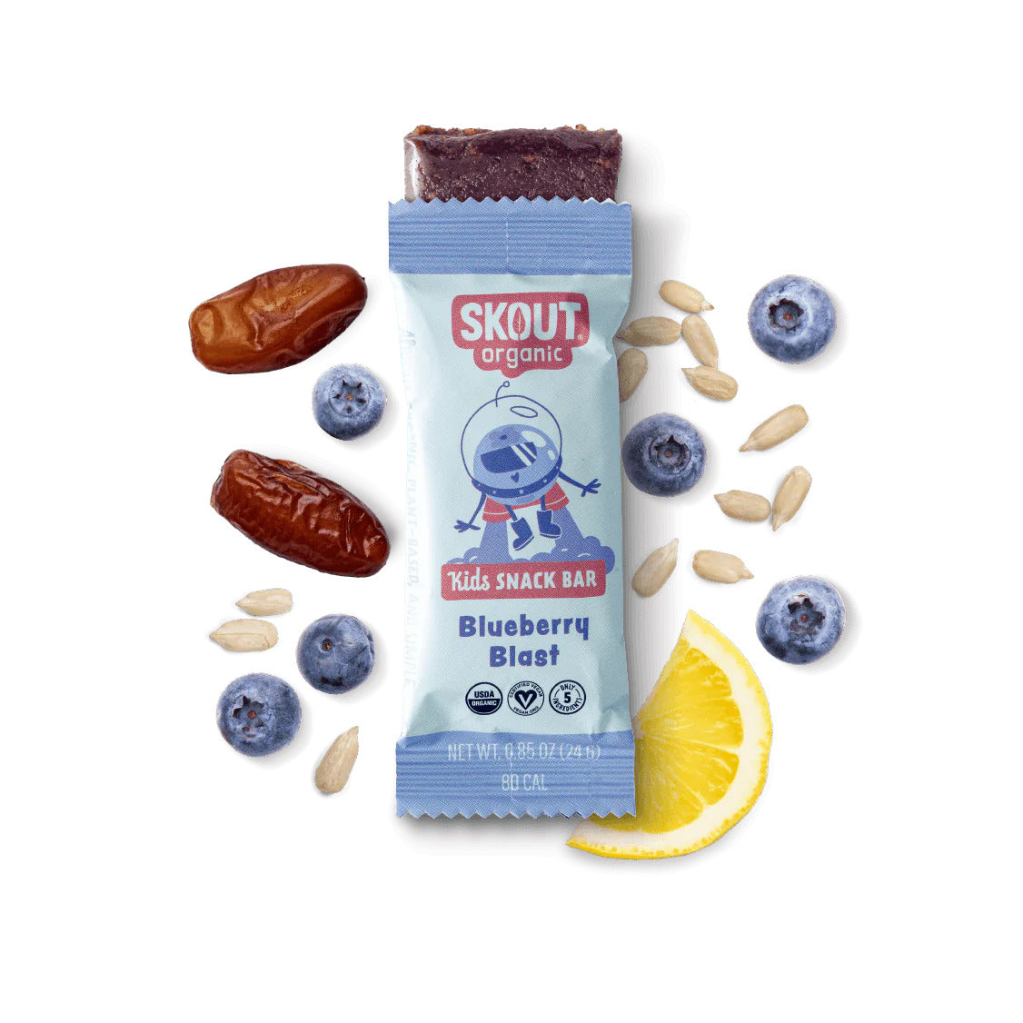 Skout Organic Blueberry Blast Kids Bar