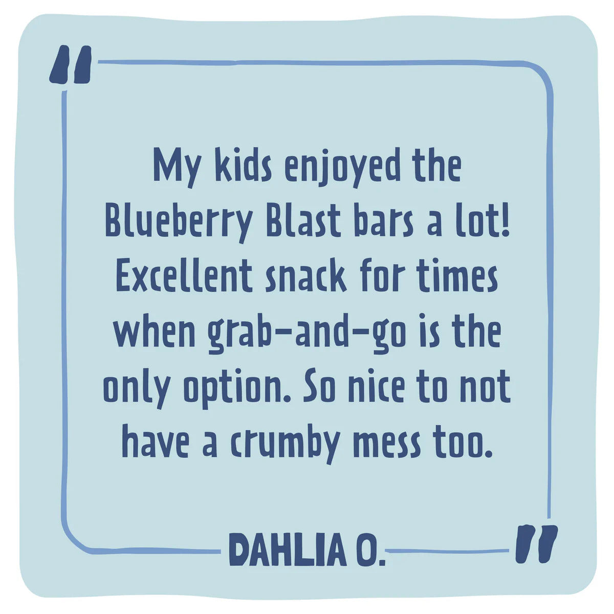 Skout Organic Blueberry Blast Kids Bar