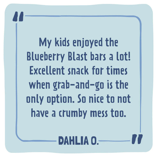 Skout Organic Blueberry Blast Kids Bar