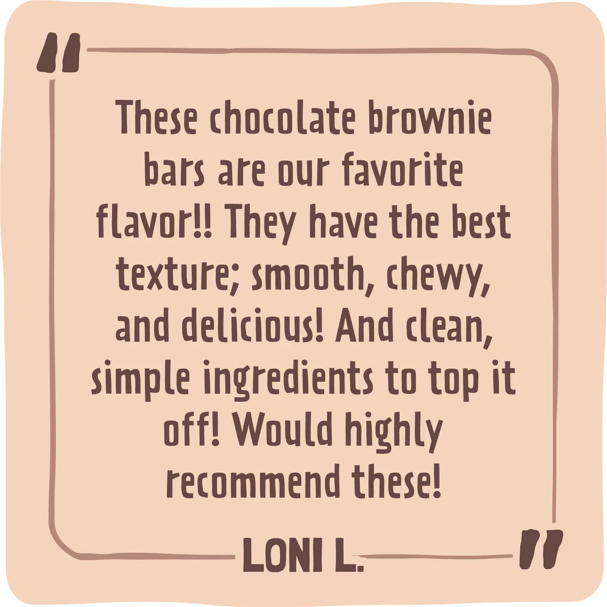 Skout Organic Chocolate Brownie Kids Bar