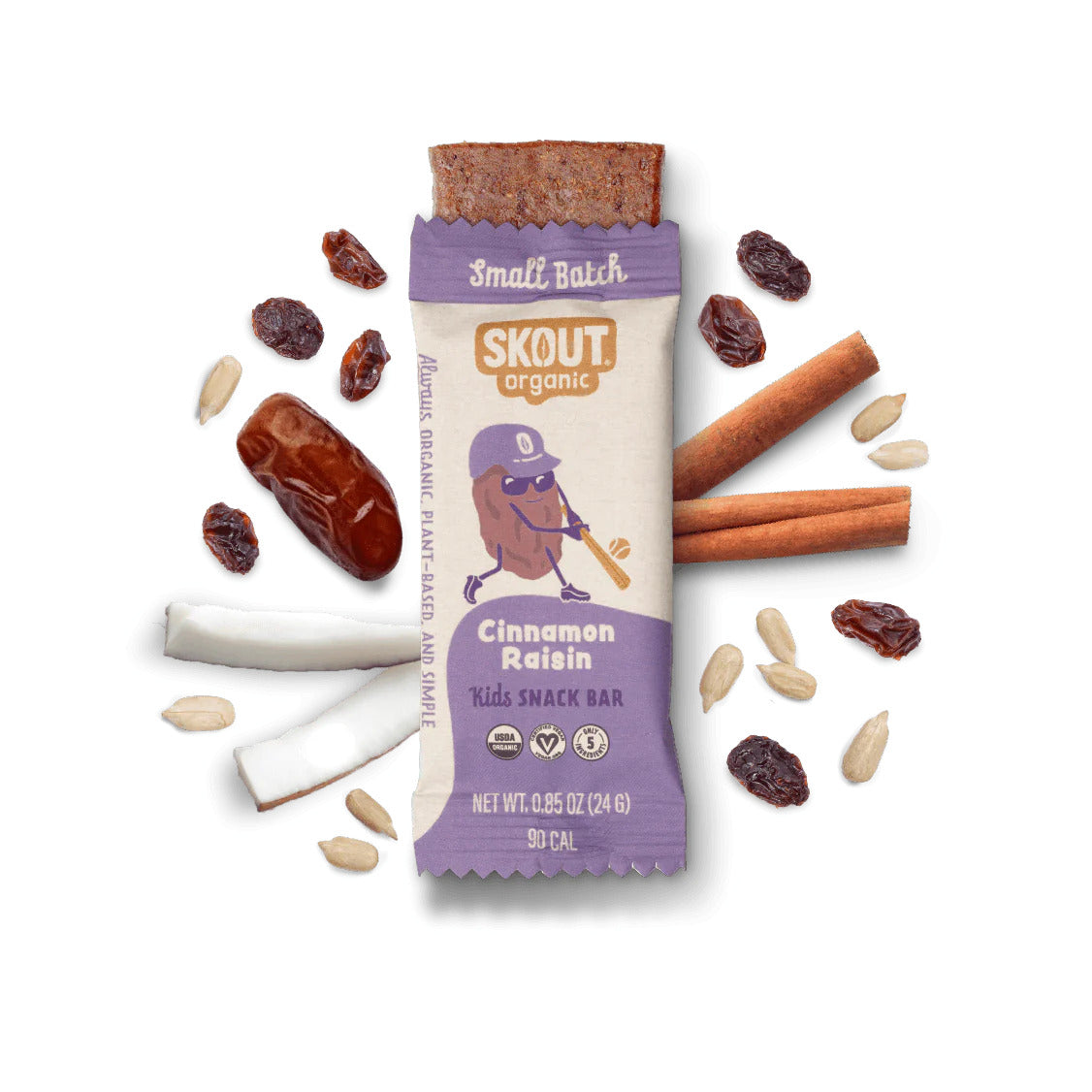 Skout Organic Cinnamon Raisin Kids Bar