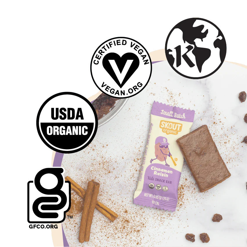 Skout Organic Cinnamon Raisin Kids Bar