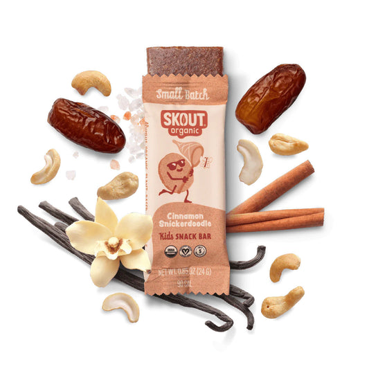 Skout Organic Cinnamon Snickerdoodle Kids Bar