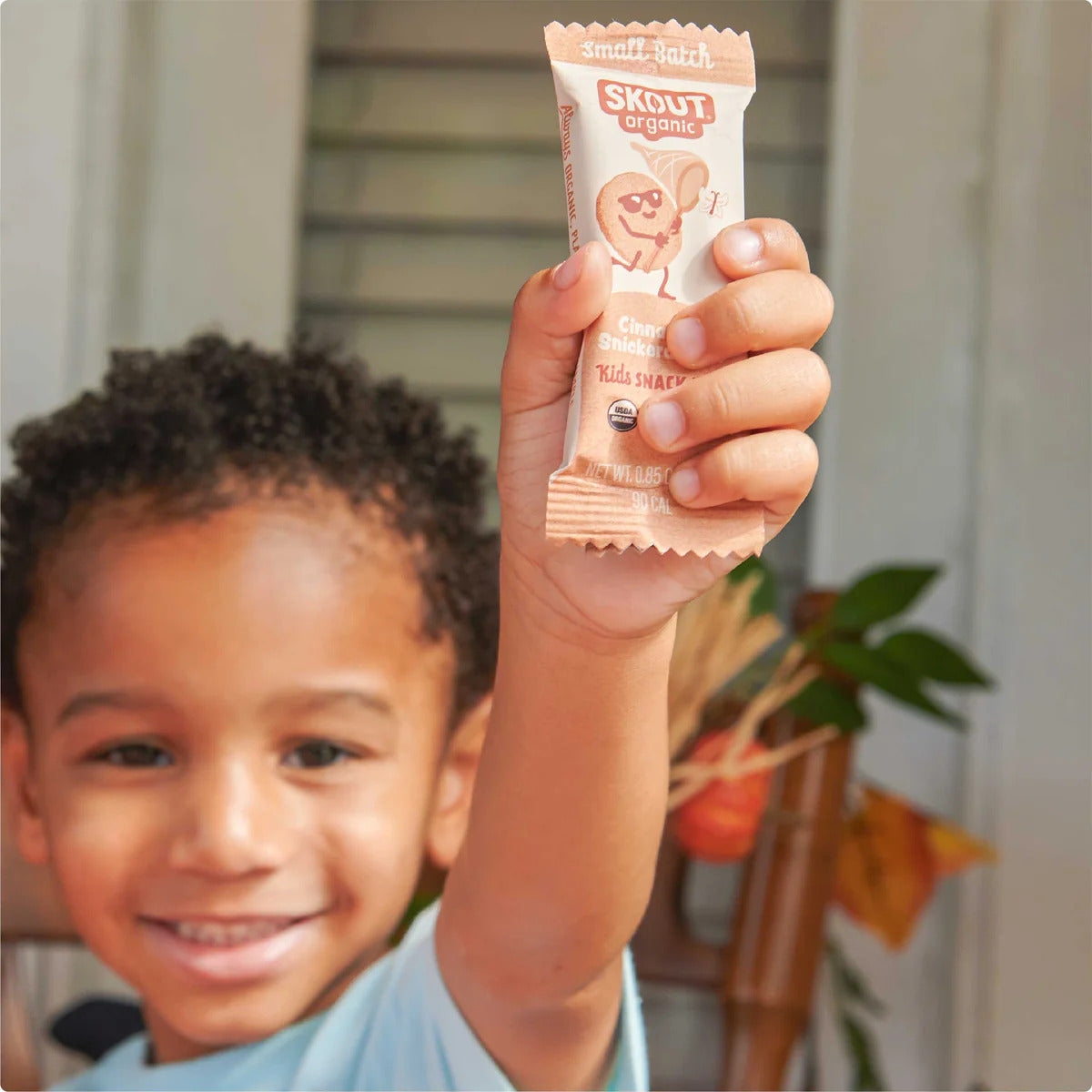 Skout Organic Cinnamon Snickerdoodle Kids Bar