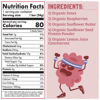 Skout Organic Raspberry Rush Kids Bar