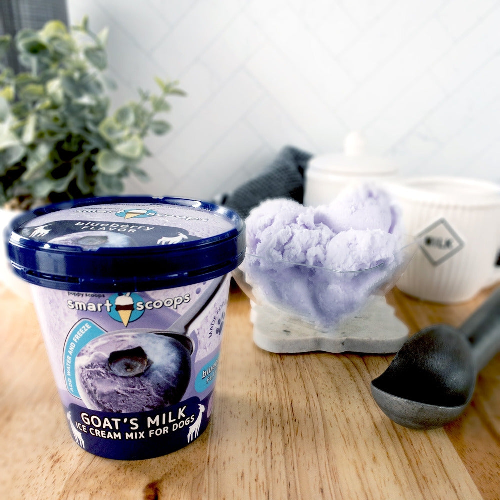 Puppy Cake Smart Scoops Goat's Milk Ice Cream Mix - Blueberry