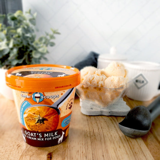 Puppy Cake Smart Scoops Goat's Milk Ice Cream Mix - Pumpkin