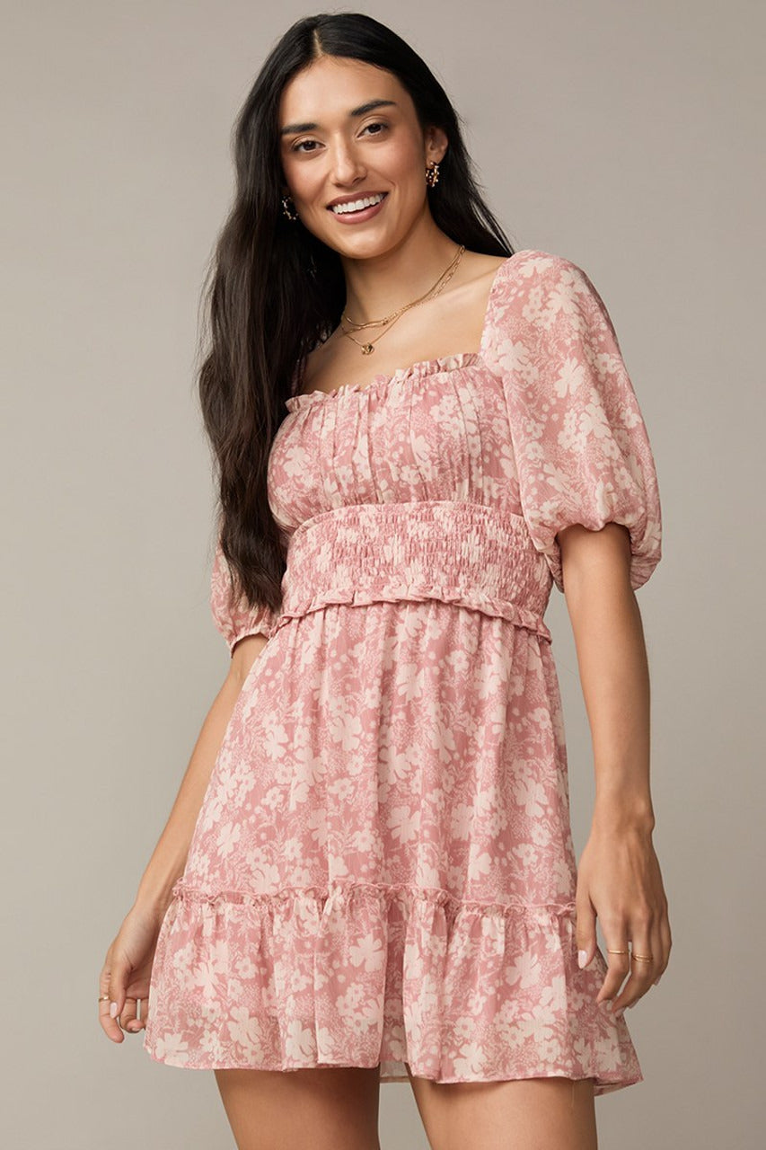 Francesca's Nina Floral Waisted Emma Mini Dress (x2)