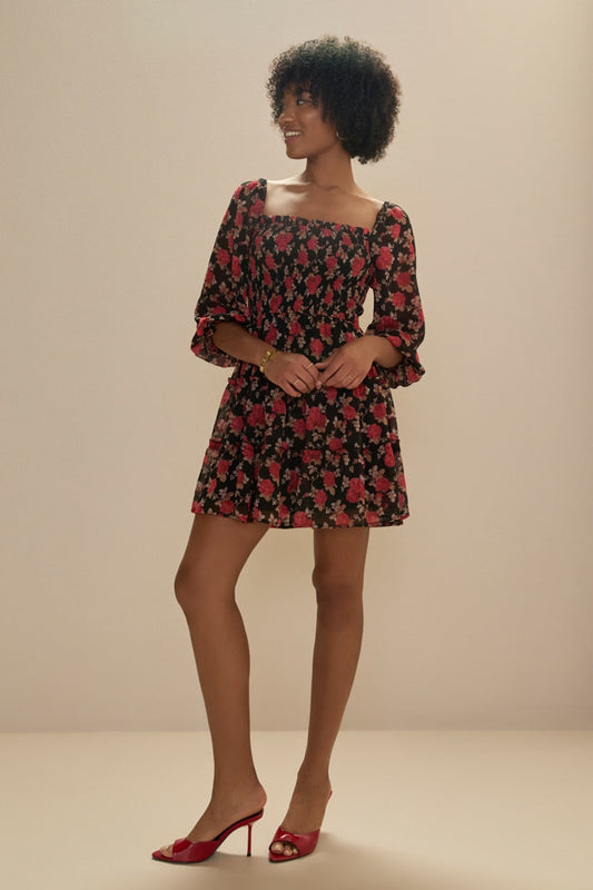 Francesca's Stella Rose Printed Swing Dress (x2)